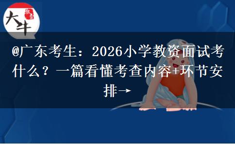 @广东考生：2026小学教资面试考什么？一篇看懂考查内容+环节安排→
