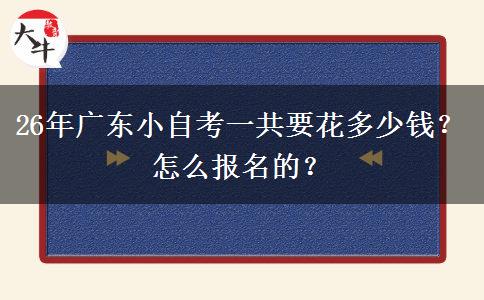 26年广东小自考一共要花多少钱？怎么报名的？
