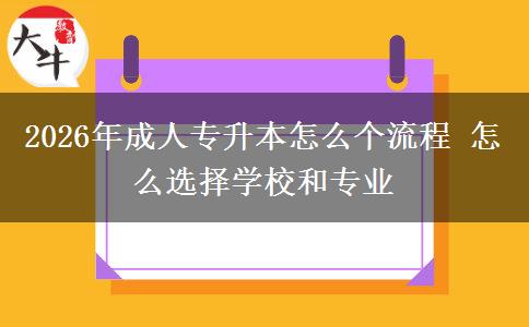 2026年成人专升本怎么个流程 怎么选择学校和专业
