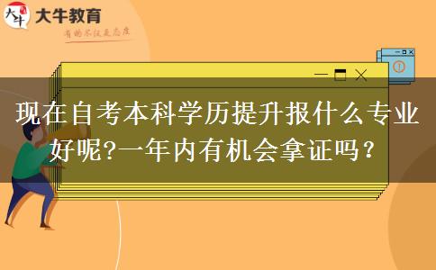 现在自考本科学历提升报什么专业好呢?一年内有机会拿证吗？