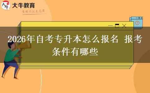 2026年自考专升本怎么报名 报考条件有哪些
