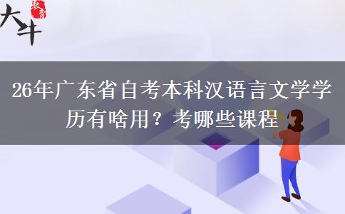 26年广东省自考本科汉语言文学学历有啥用？考哪些课程