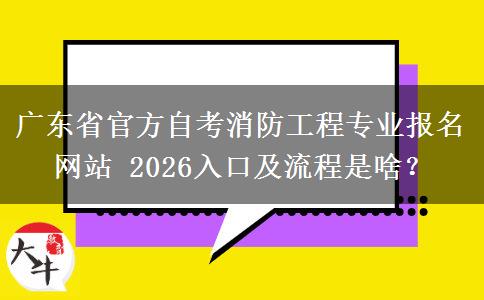 广东省官方自考消防工程专业报名网站 2026入口及流程是啥？