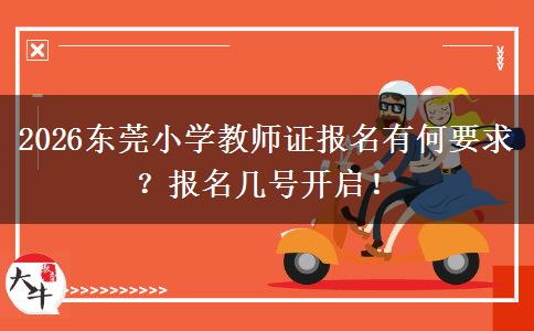 2026东莞小学教师证报名有何要求？报名几号开启！