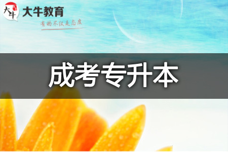 成考专升本