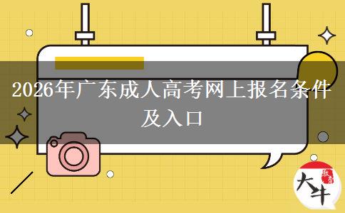 2026年广东成人高考网上报名条件及入口