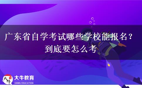 广东省自学考试哪些学校能报名？到底要怎么考