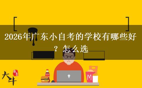 2026年广东小自考的学校有哪些好？怎么选