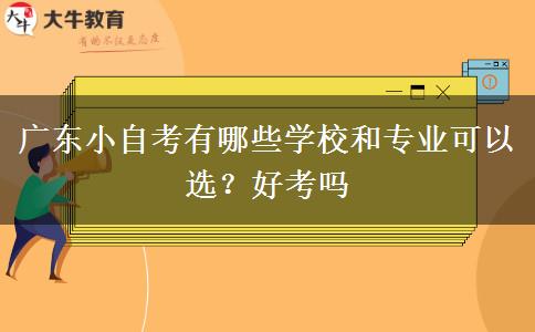 广东小自考有哪些学校和专业可以选？好考吗