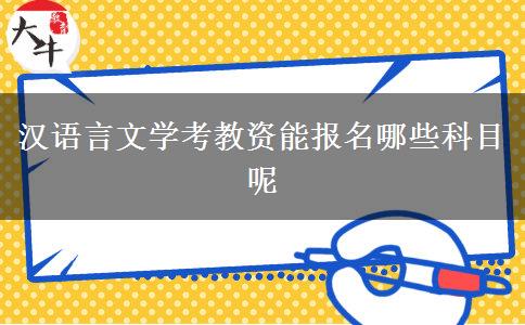 汉语言文学考教资能报名哪些科目呢
