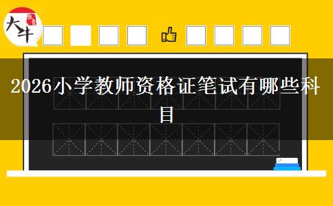 2026小学教师资格证笔试有哪些科目