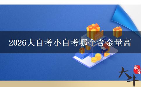 2026大自考小自考哪个含金量高