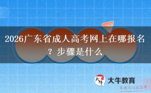 2026广东省成人高考网上在哪报名？步骤是什么
