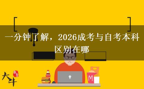 一分钟了解，2026成考与自考本科区别在哪