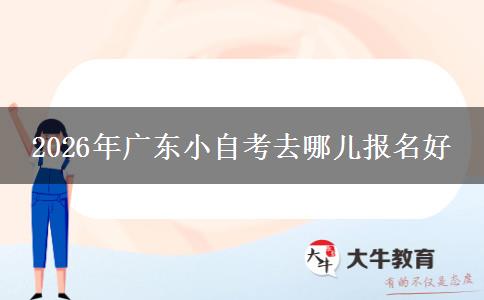 2026年广东小自考去哪儿报名好