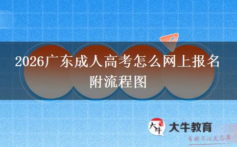 2026广东成人高考怎么网上报名 附流程图