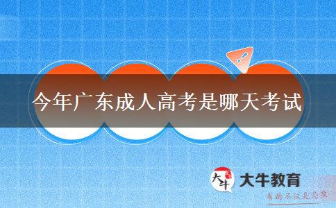 今年广东成人高考是哪天考试