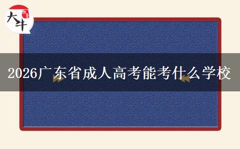 2026广东省成人高考能考什么学校