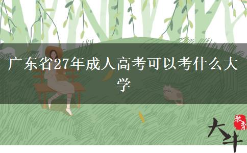 广东省27年成人高考可以考什么大学