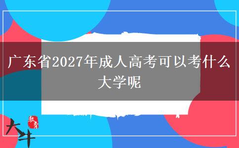 广东省2027年成人高考可以考什么大学呢