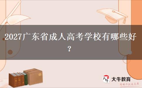 2027广东省成人高考学校有哪些好？