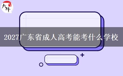 2027广东省成人高考能考什么学校