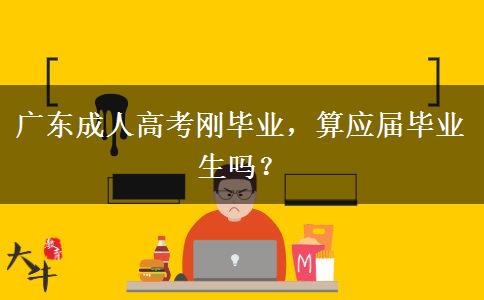 广东成人高考刚毕业，算应届毕业生吗？