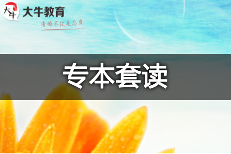 2027专本套读